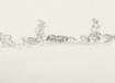 landscape_thomas werk