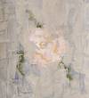 thomas werk rose